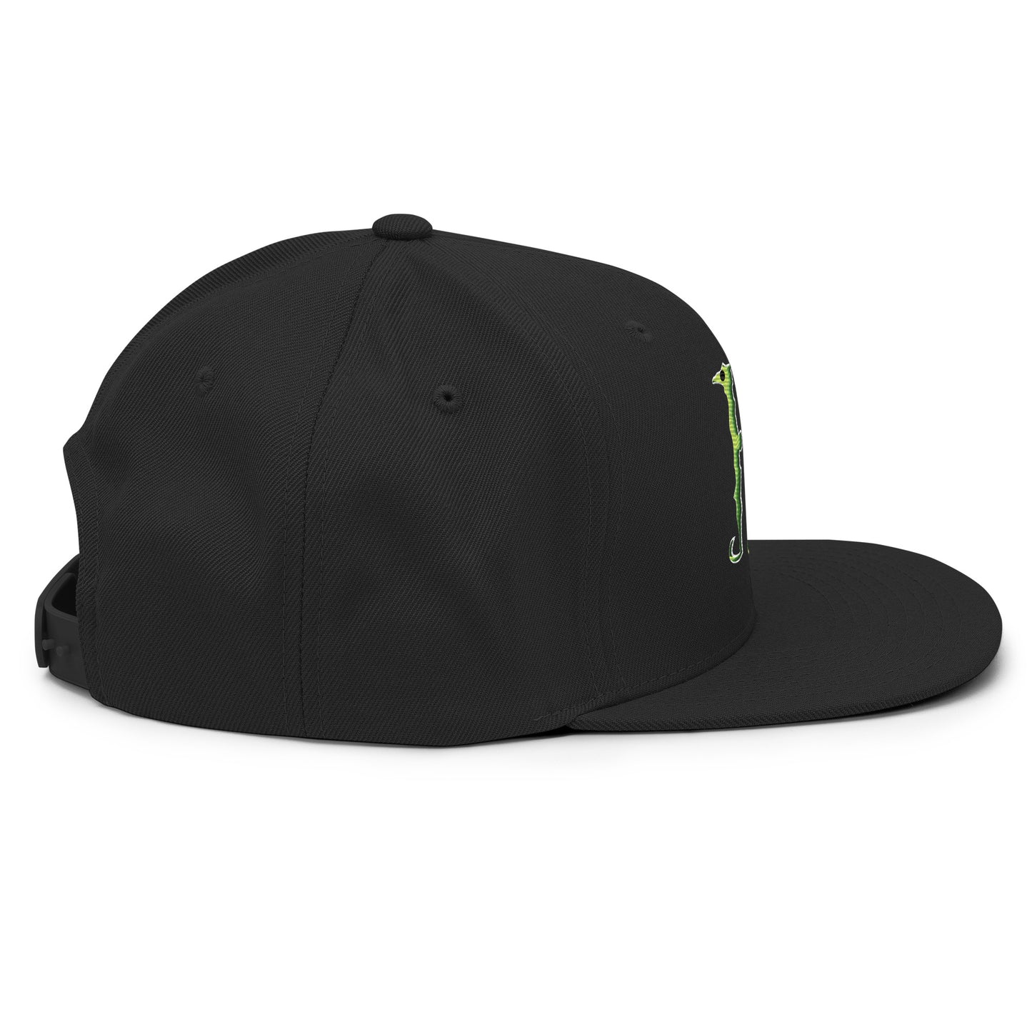 SE Snapback Hat