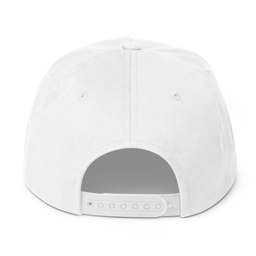 hAIR Jordan Flat Bill Cap
