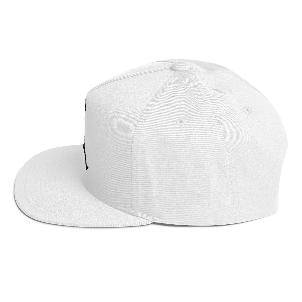 hAIR Jordan Flat Bill Cap