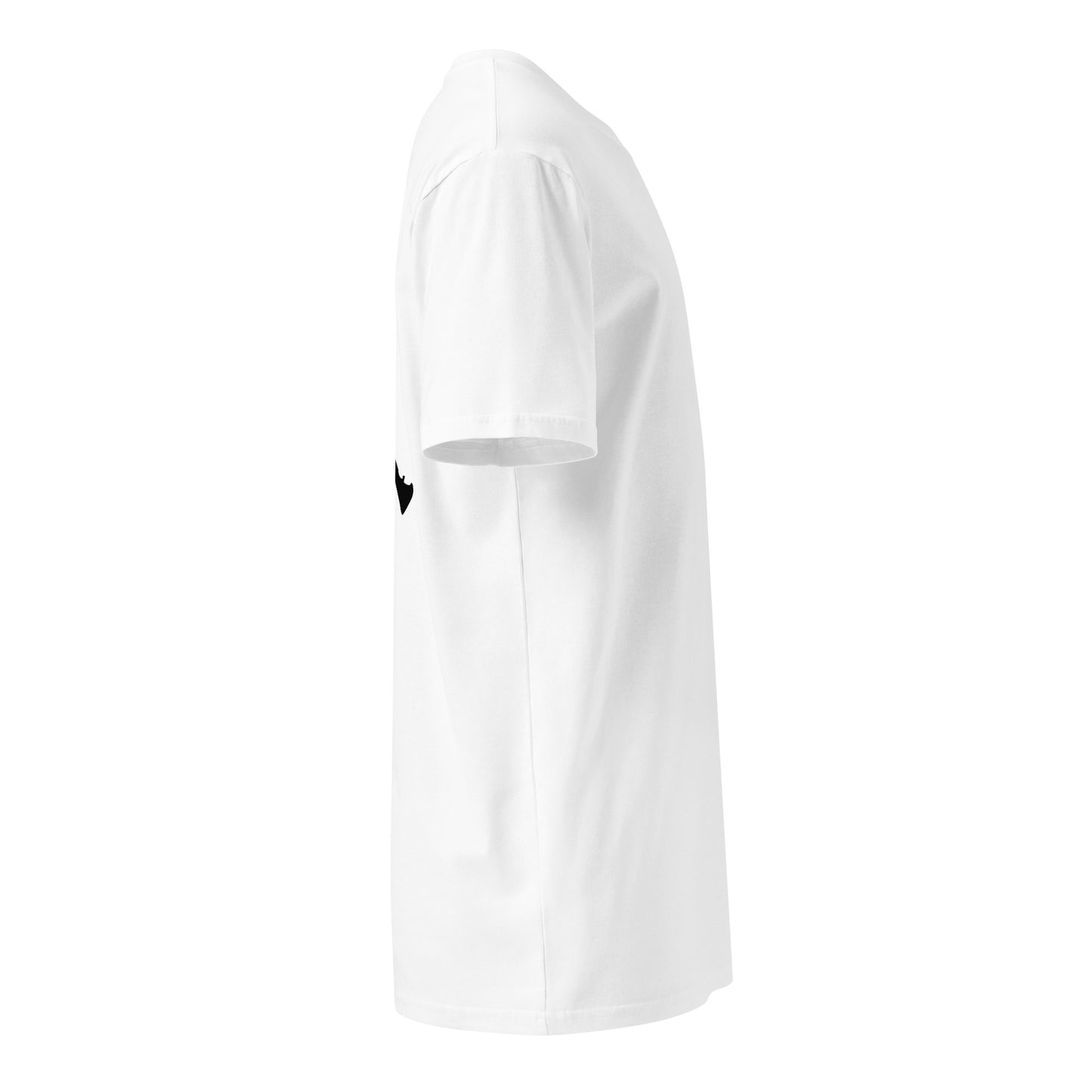 hAIR Jordan Unisex premium t-shirt