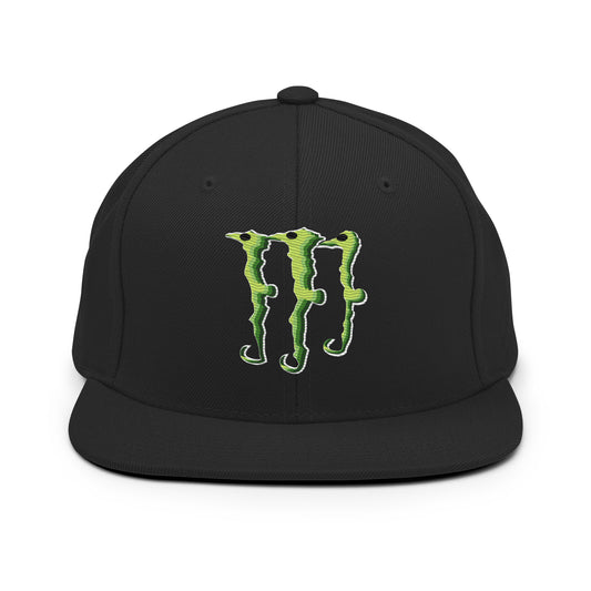 SE Snapback Hat